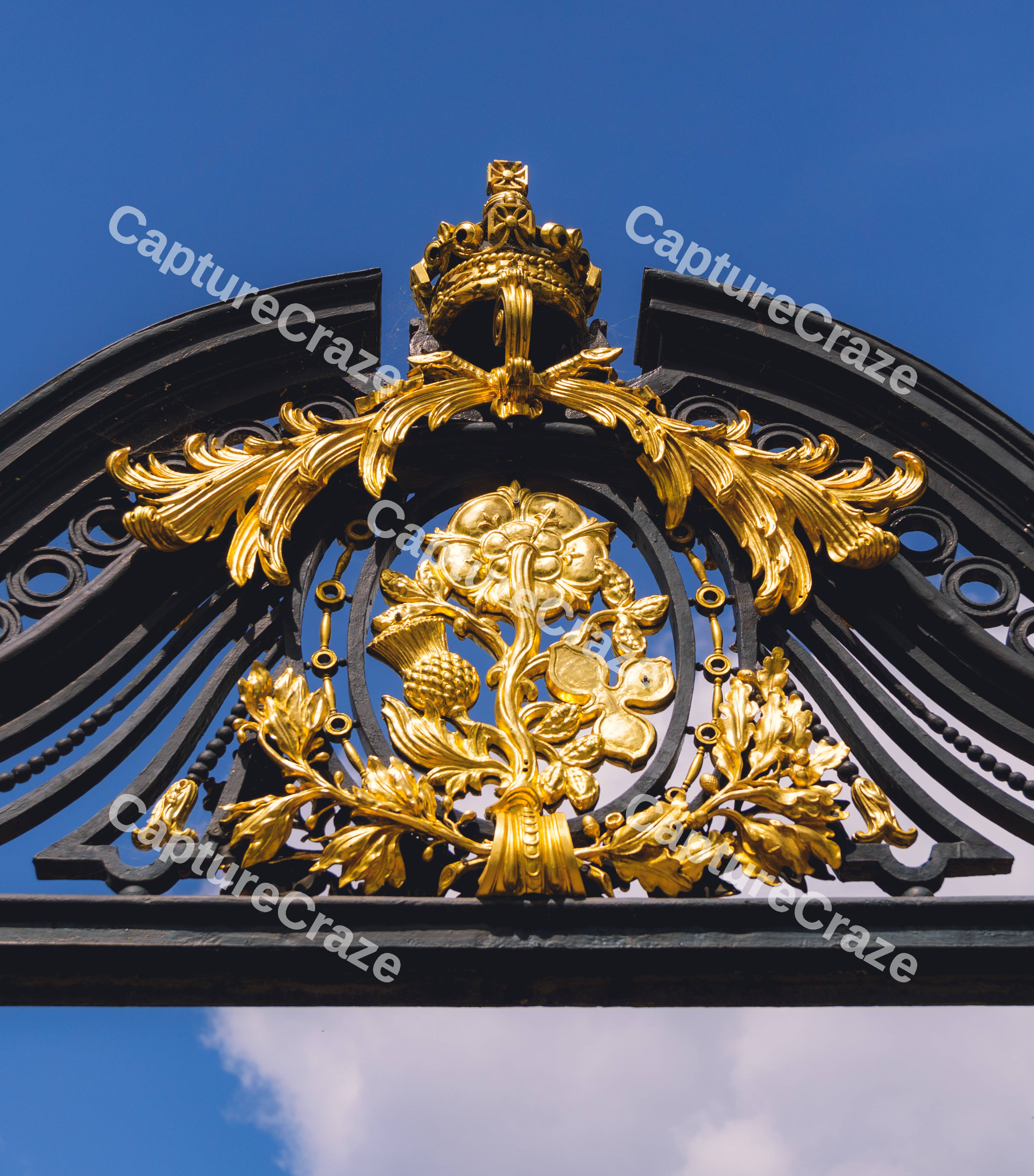 Royal Gold Gate Detail
